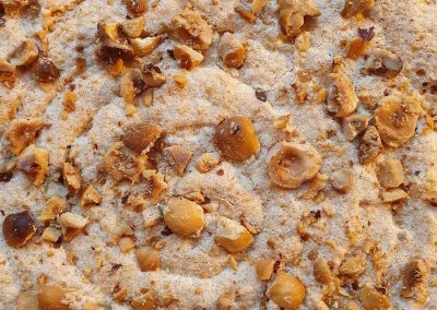 Dacquoise noisettes et praliné